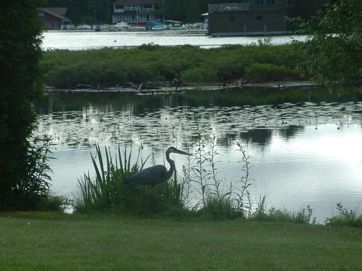 Wildwood On The Lake 普莱西德湖 外观 照片